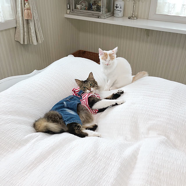 yuchiさんの実例写真