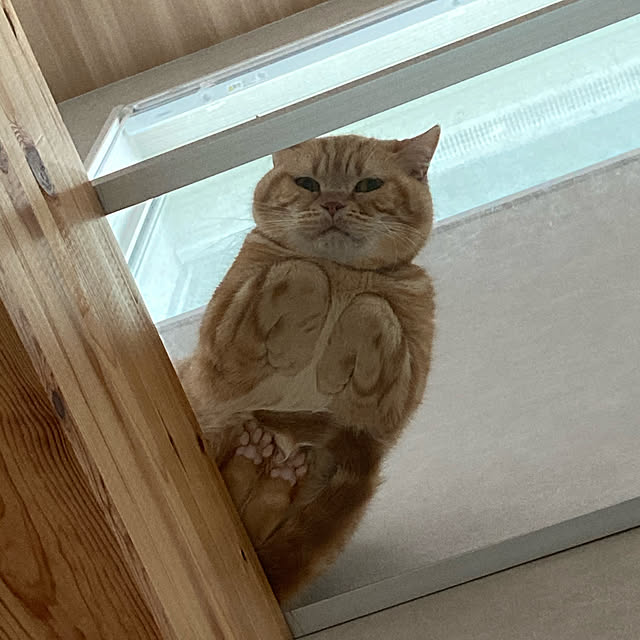 mikkumikuさんの実例写真