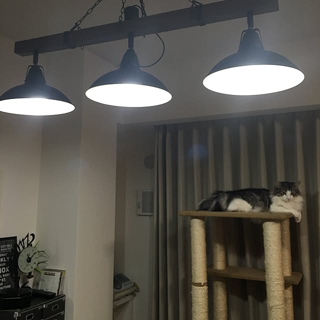 regulusさんの実例写真