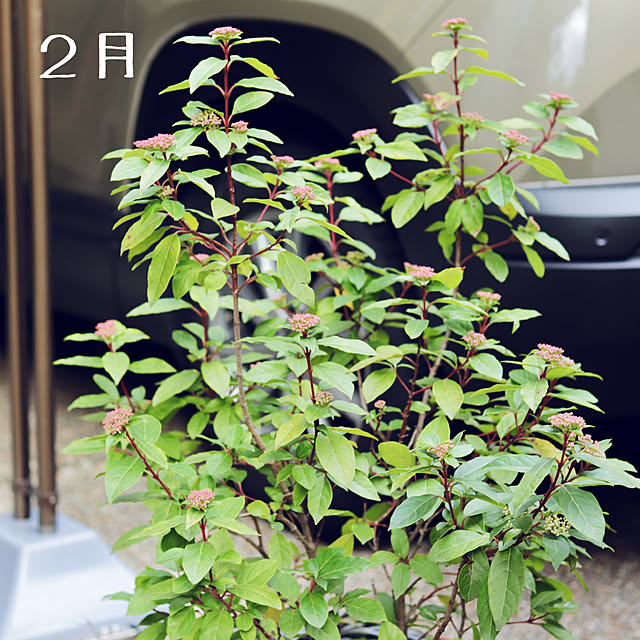 onsix777さんの部屋