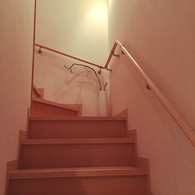 miyauchi_sanさんの実例写真