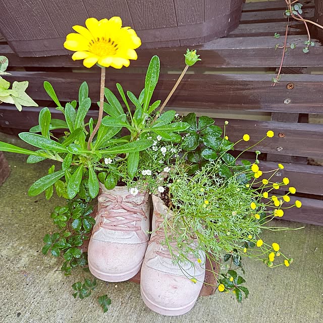 mocomocoさんの部屋