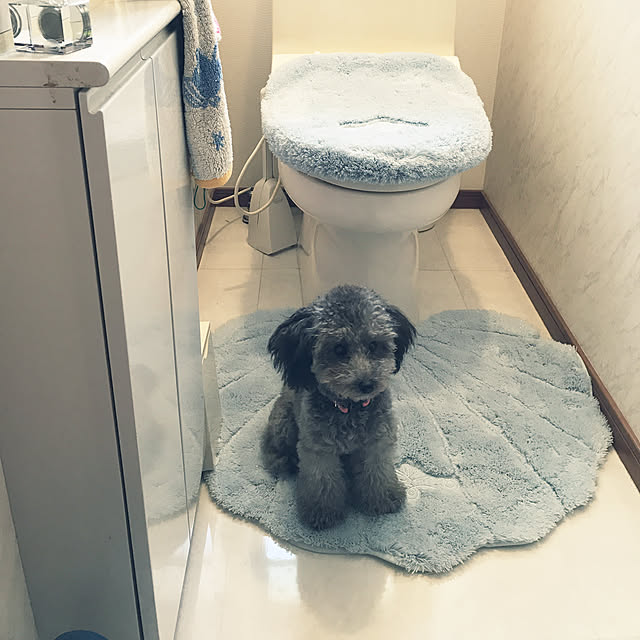 mikiさんの実例写真