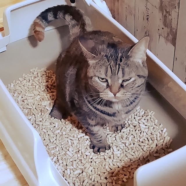 runaさんの部屋