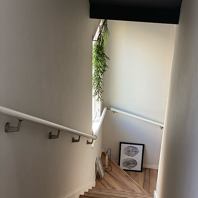 観葉植物/壁/天井のインテリア実例 - 2020-12-19 10:19:09
