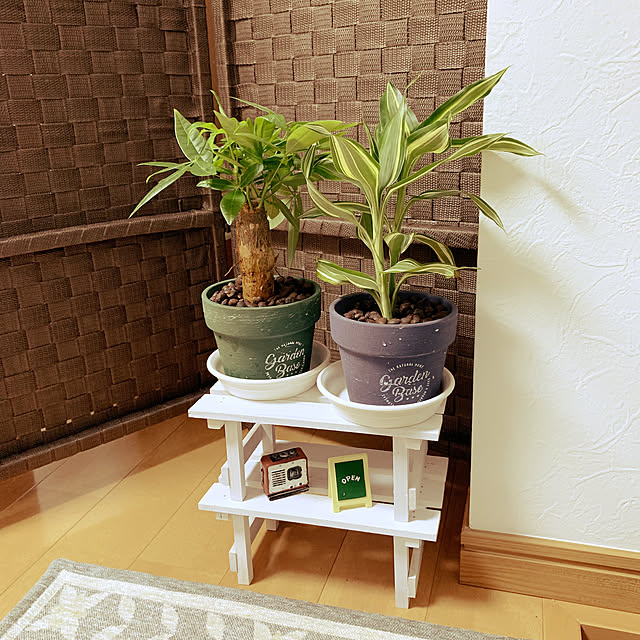 観葉植物/賃貸2dk1人暮らし/グリーンのある暮らし/ダイソー/100均...などのインテリア実例 - 2019-10-01 12:40:10