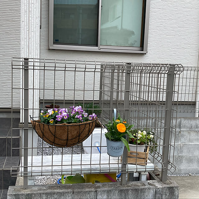 momoさんの実例写真