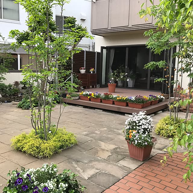 miwarinさんの実例写真
