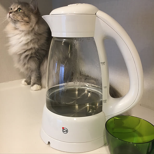 一人暮らし/棚のインテリア実例 - 2019-10-22 11:34:54