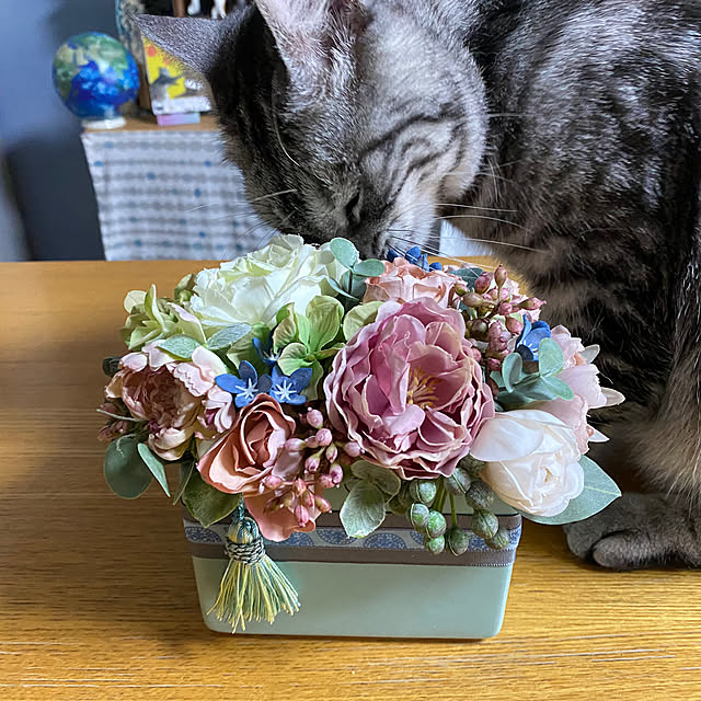 yuzuaoさんの部屋
