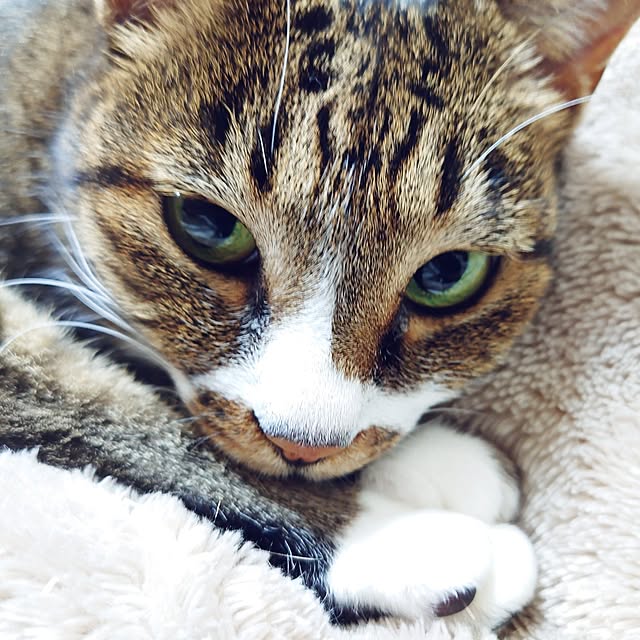 nachiさんの部屋