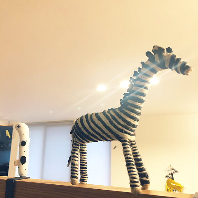 johnp._.qtotoさんの実例写真