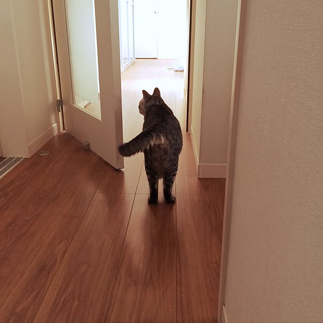 CHIEさんの実例写真