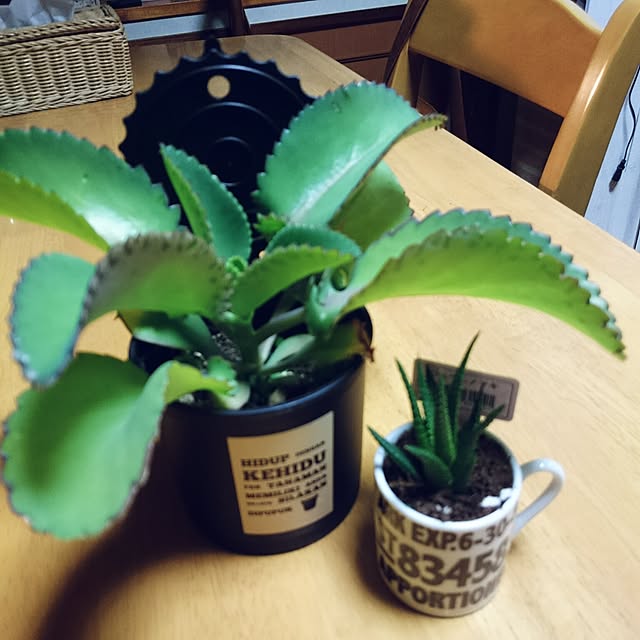 tikuwaさんの実例写真