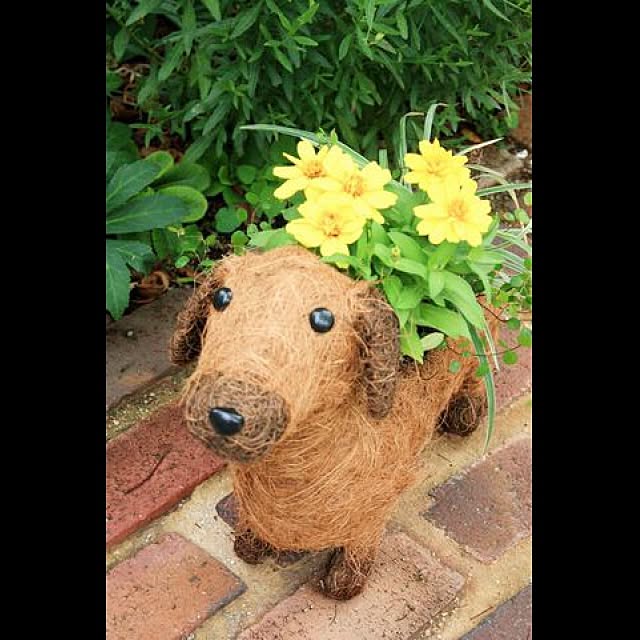 garden_life_saiさんの実例写真