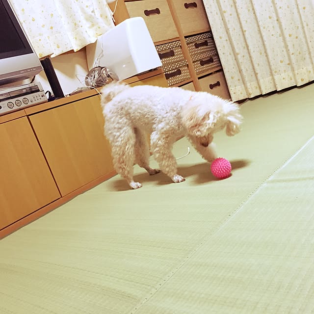 Junran50さんの実例写真