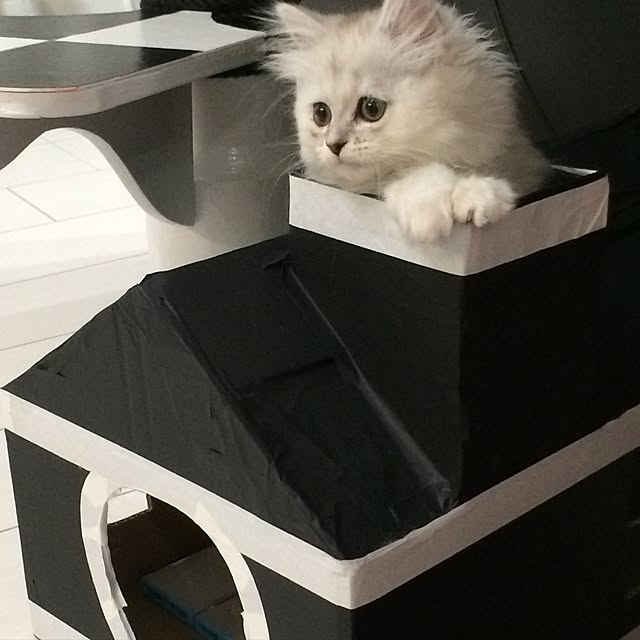 MArukOさんの実例写真