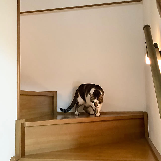 haruminさんの部屋