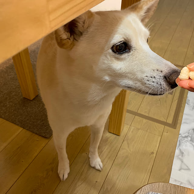 tanboさんの部屋