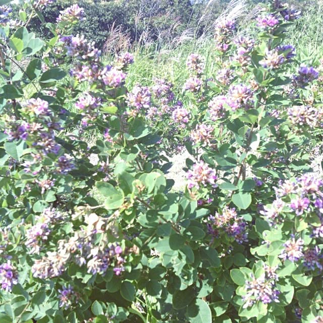 akr29さんの実例写真