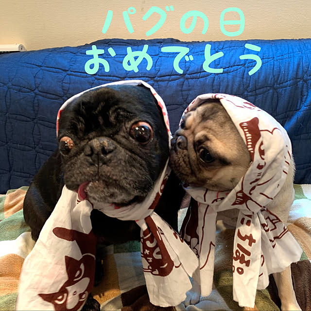 soraさんの実例写真