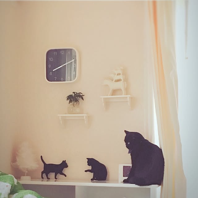 Yuyuさんの実例写真