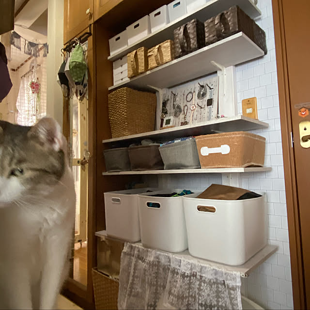 Lufuさんの実例写真