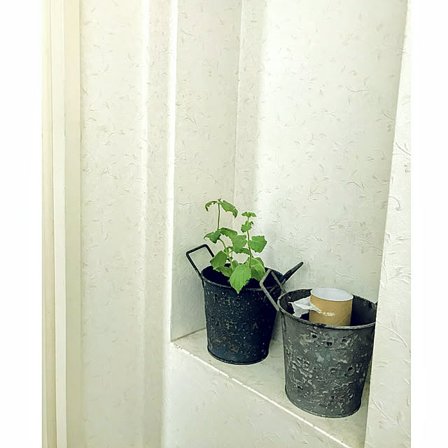 hiyo.pietさんの実例写真