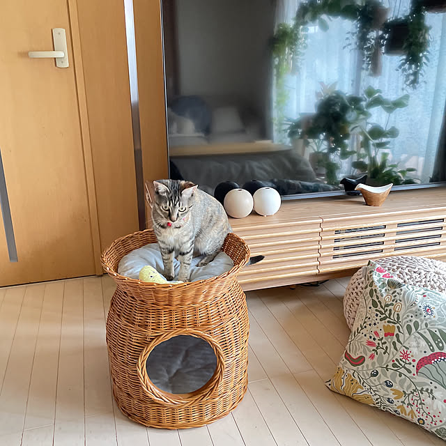 chinaさんの部屋