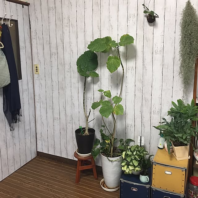 DADAさんの実例写真