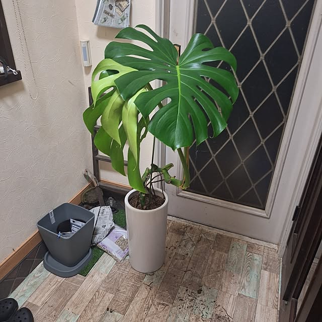 SENAさんの部屋