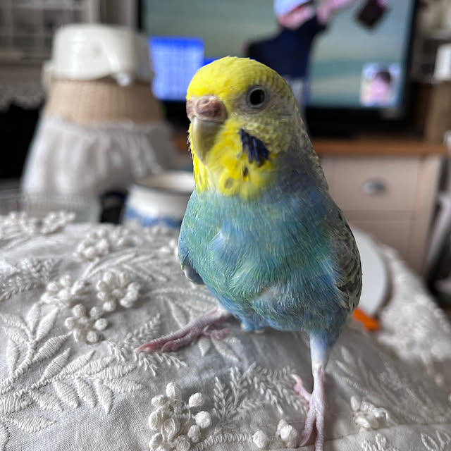 Atsukoさんの部屋