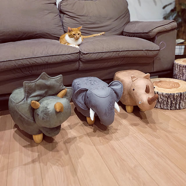 hiroさんの実例写真