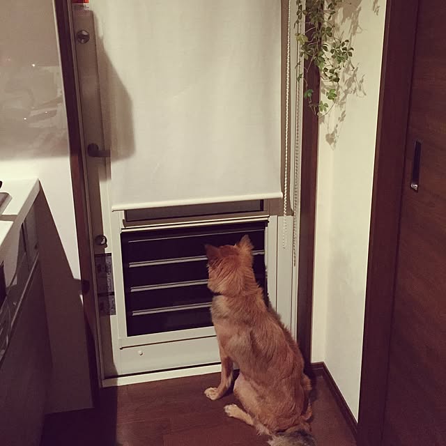 hikanaさんの実例写真
