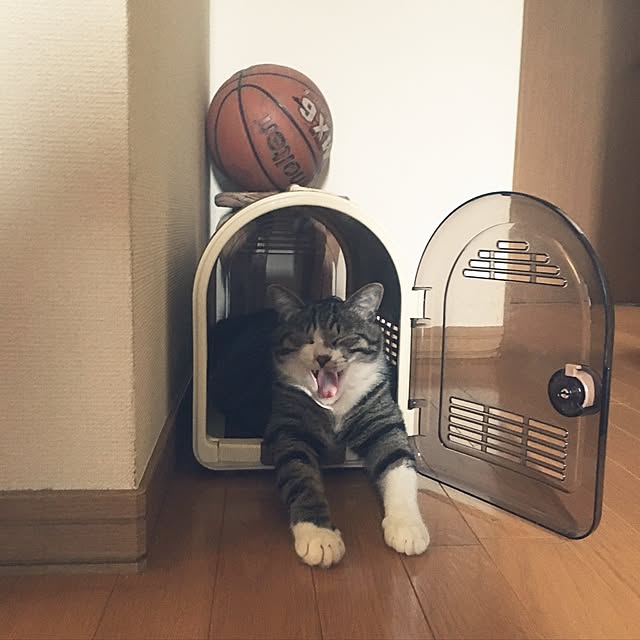 kimikimiさんの実例写真