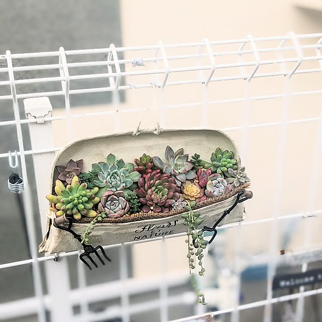 purpureさんの部屋