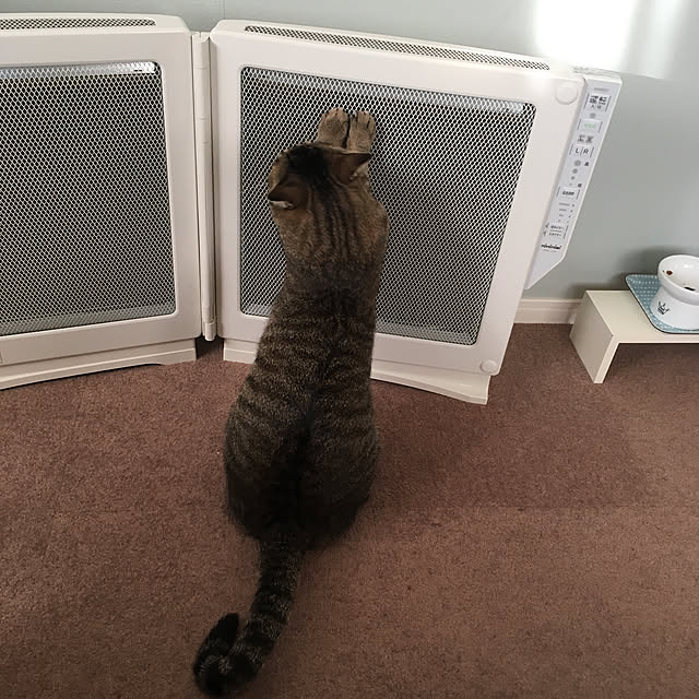 mikomaruさんの実例写真