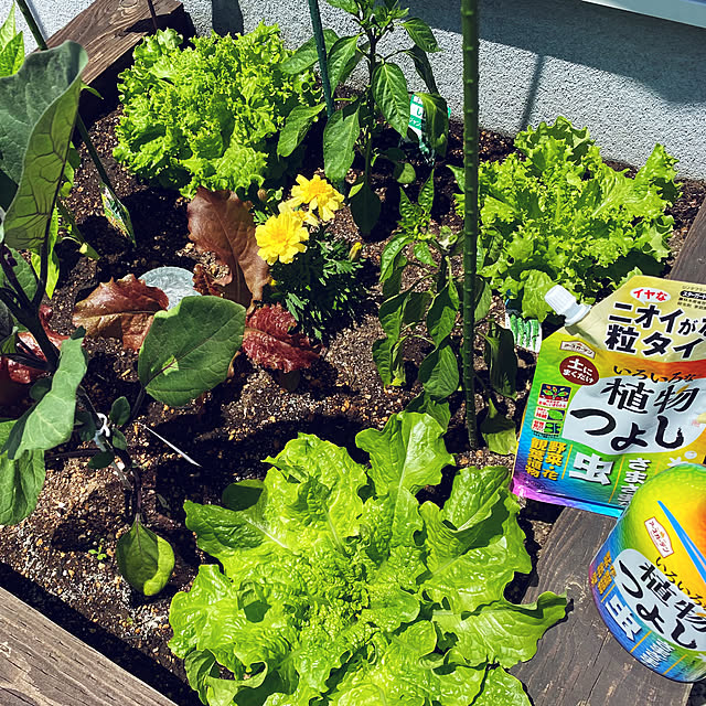 usagiさんの部屋