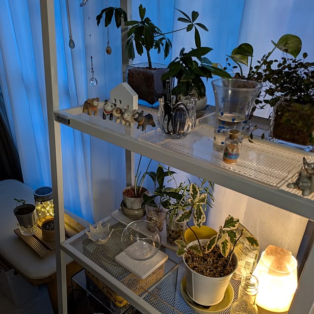mi-saさんの部屋