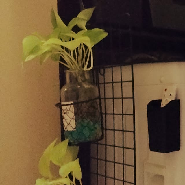 runaさんの部屋