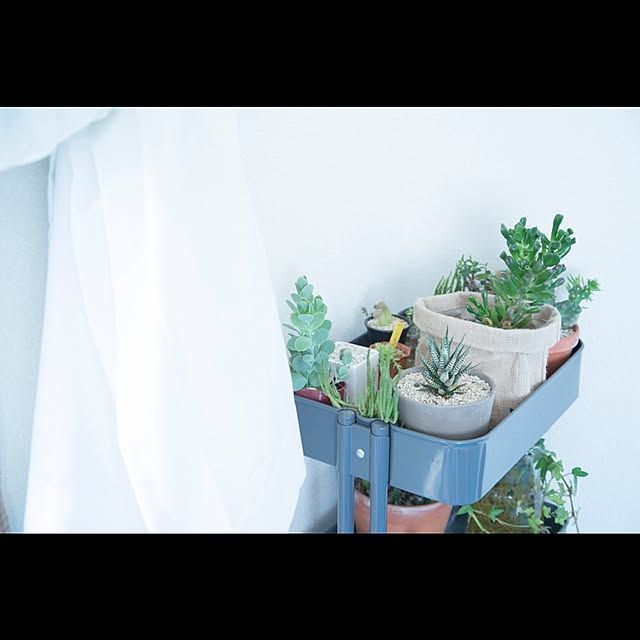 saccoさんの実例写真