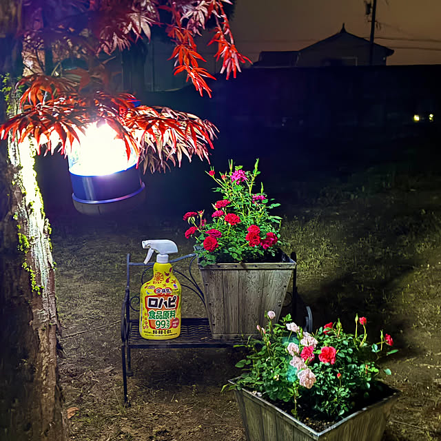 Fleur_さんの実例写真