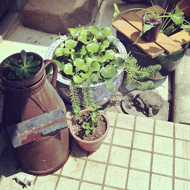 botanさんの実例写真