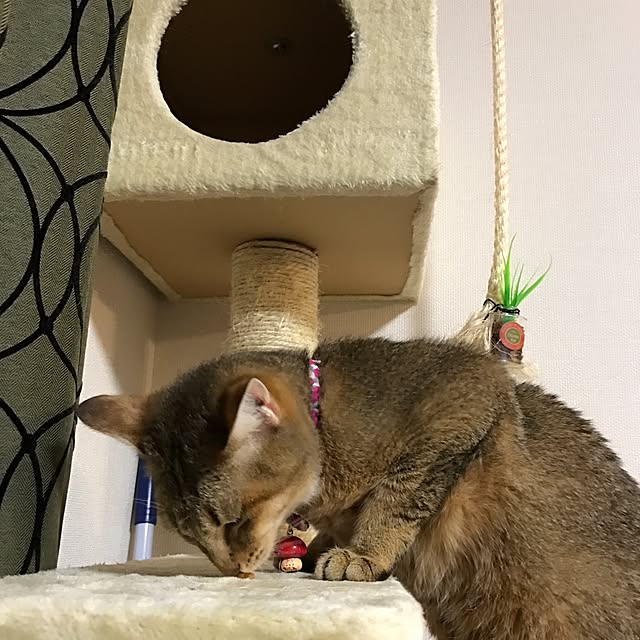 1633さんの実例写真