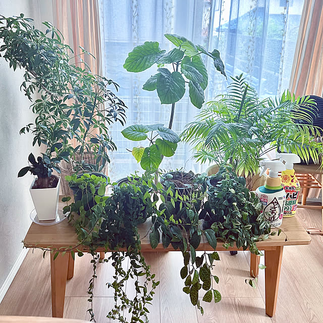 hachiさんの実例写真