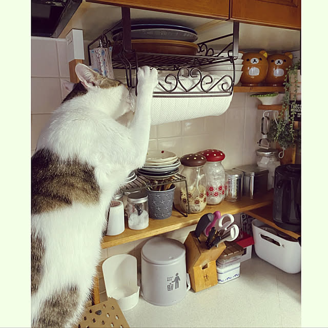 Lufuさんの実例写真