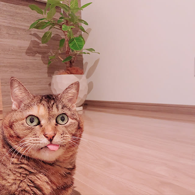 k-roomさんの実例写真