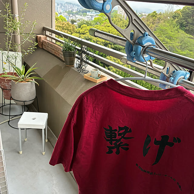koshiregutyoさんの部屋