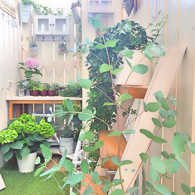 FU-KIさんの実例写真