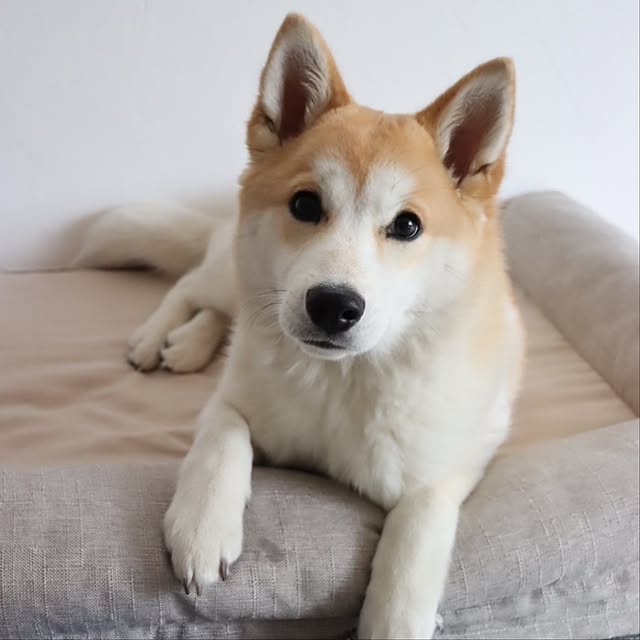 Mi-koさんの部屋